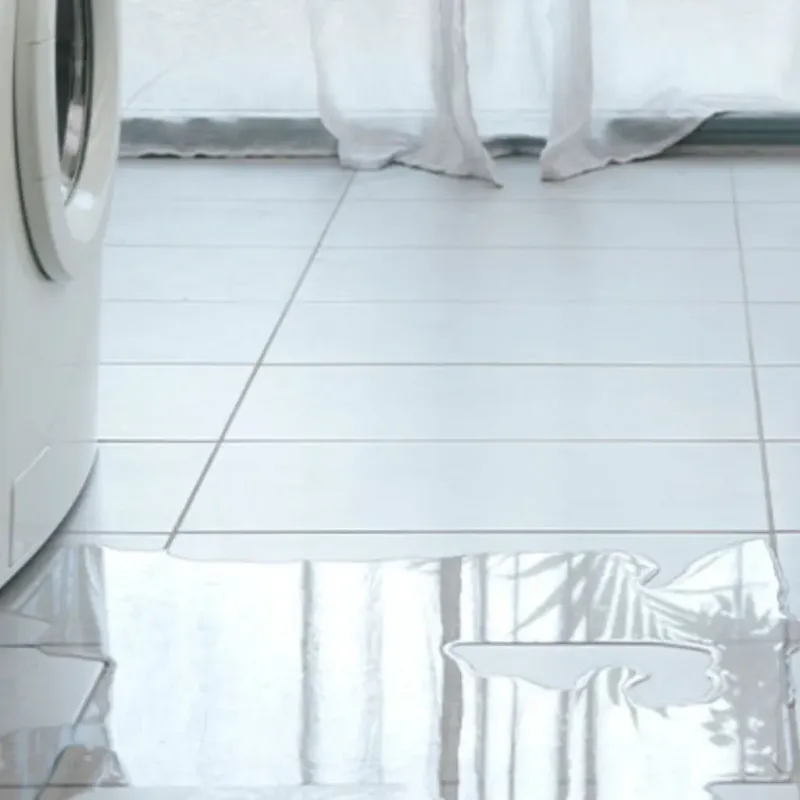 Appliance Leak Cleanup in Canton, TX