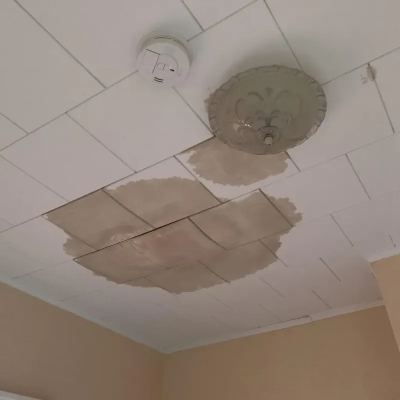Ceiling Water Damage Repair in Canton, TX