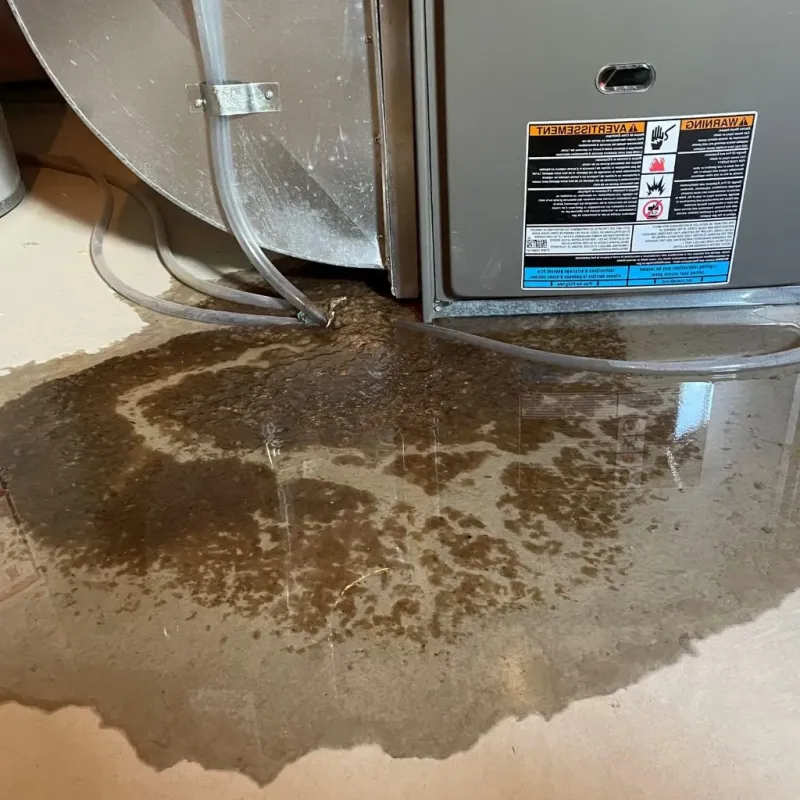 Pipe Burst and Leak Restoration in Canton, TX
