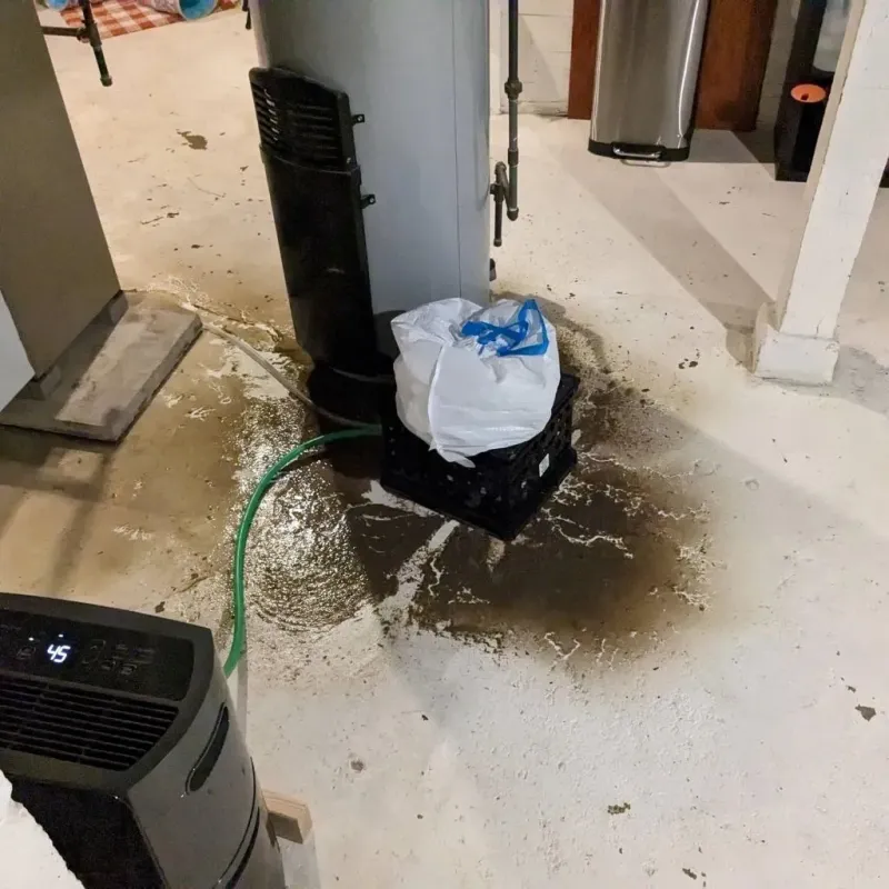 Sewage Backup Cleanup Service in Canton, TX